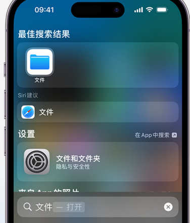 五河apple维修中心分享iPhone文件应用中存储和找到下载文件