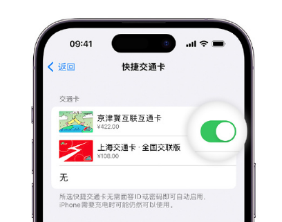 五河apple维修点分享iPhone上更换Apple Pay快捷交通卡手绘卡面 