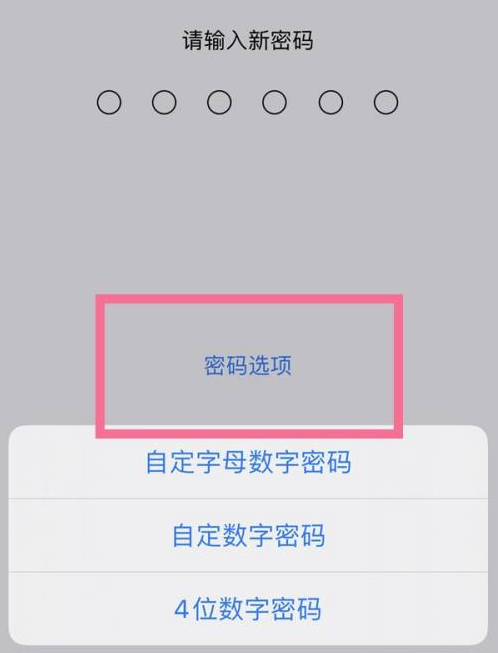 五河苹果14维修分享iPhone 14plus设置密码的方法 