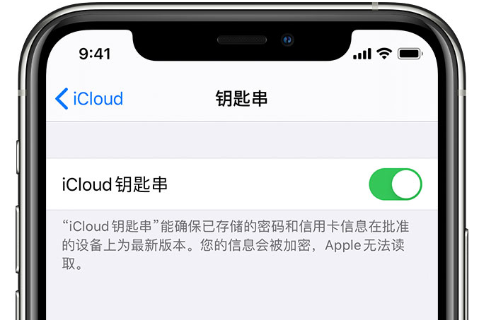 五河苹果手机维修分享在 iPhone 上开启 iCloud 钥匙串之后会储存哪些信息 