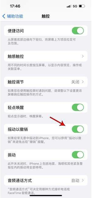 五河苹果手机维修分享iPhone手机如何设置摇一摇删除文字 