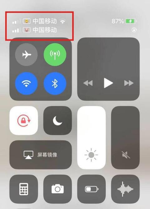五河苹果手机维修分享为 iPhone 12 双卡设置标签 